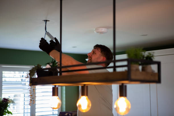 Best Electric Panel Repair  in Crowley Lake, CA